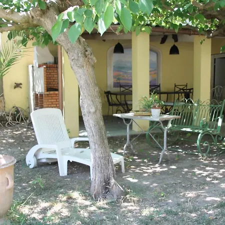 La Maison Des Oliviers Willa